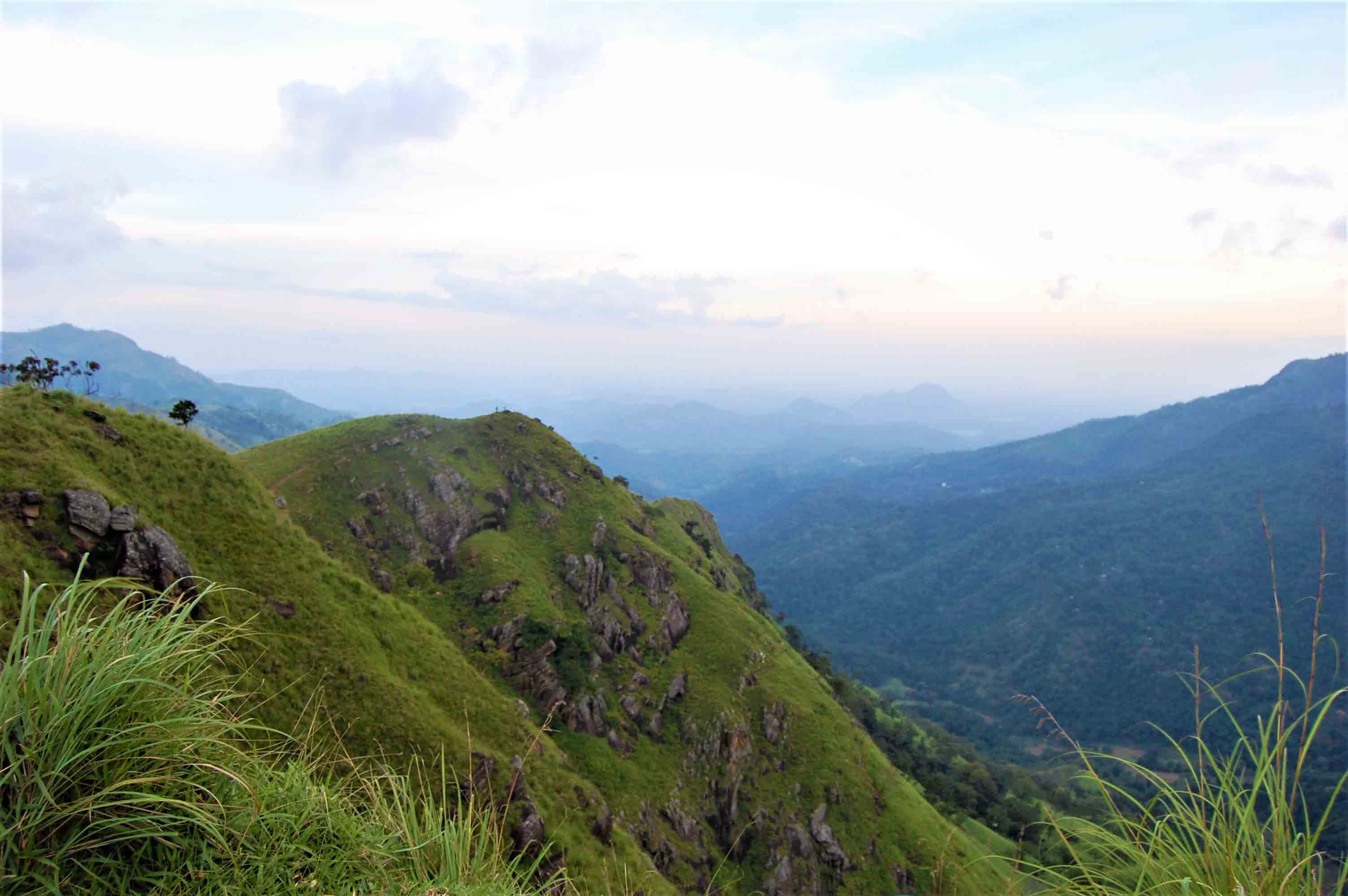  fasd fasd fasd fasd f