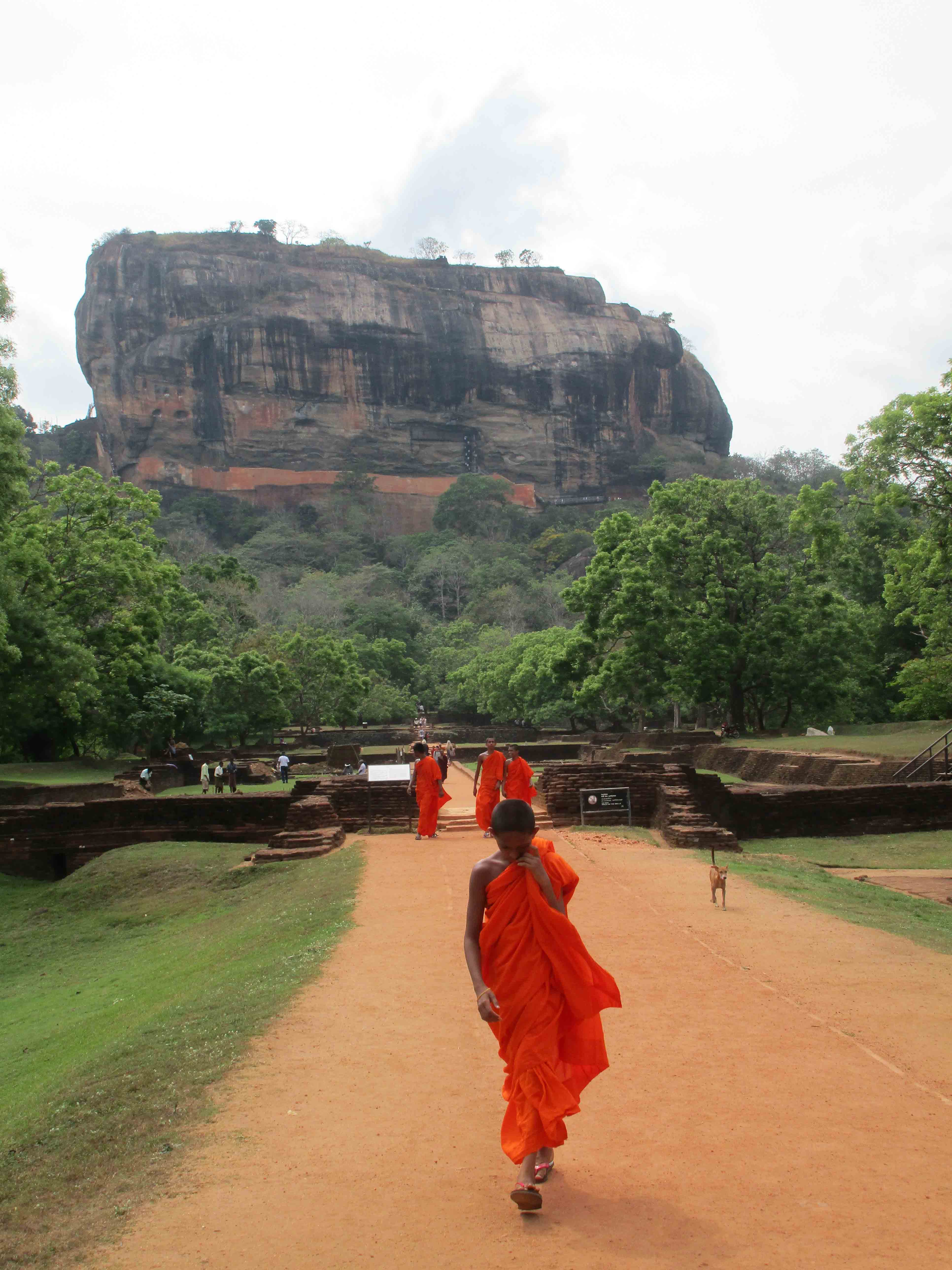 Sri Lanka tour highlight - Hill Country & Tea