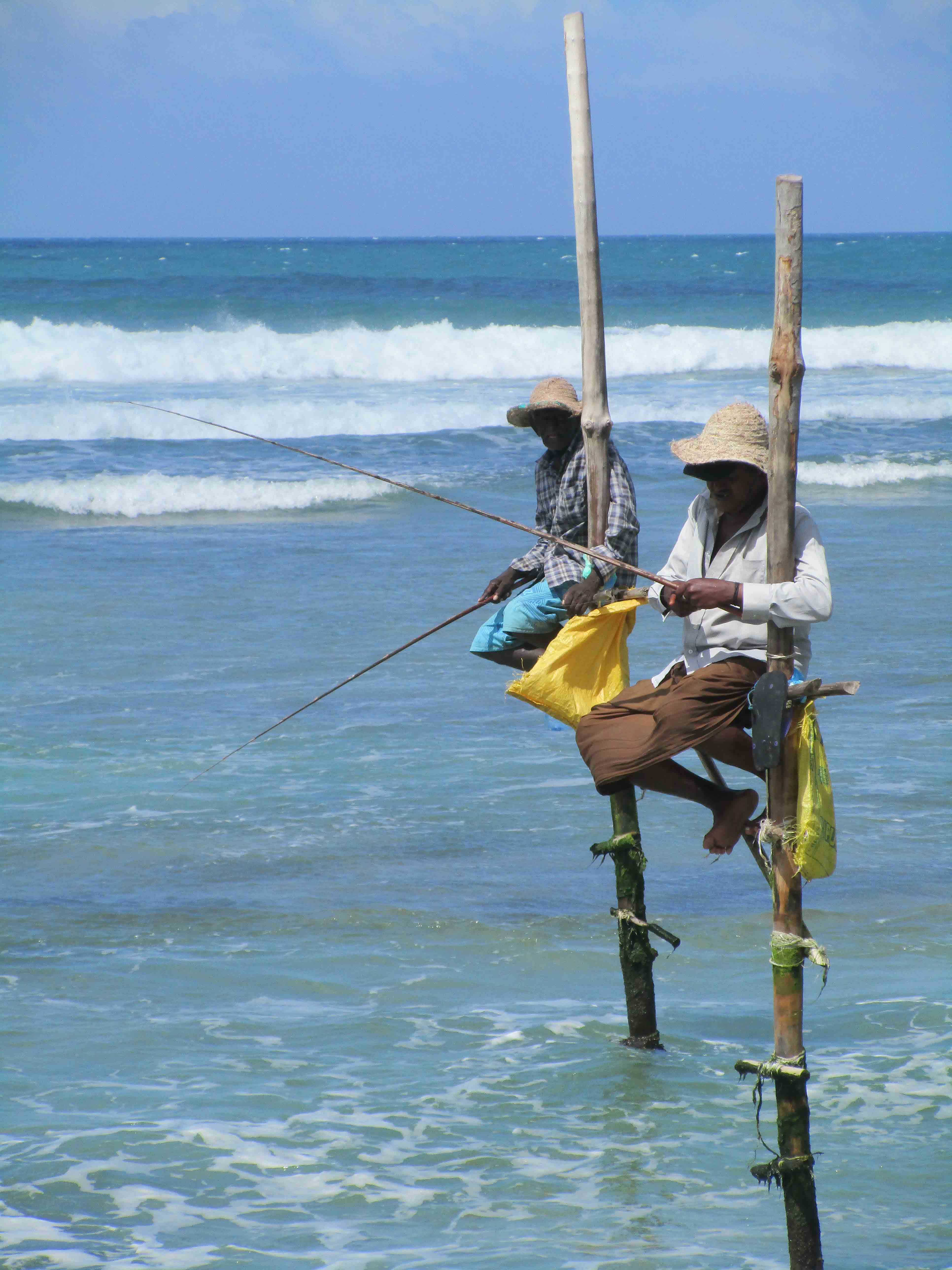 Sri Lanka tour highlight - Wildlife & Nature