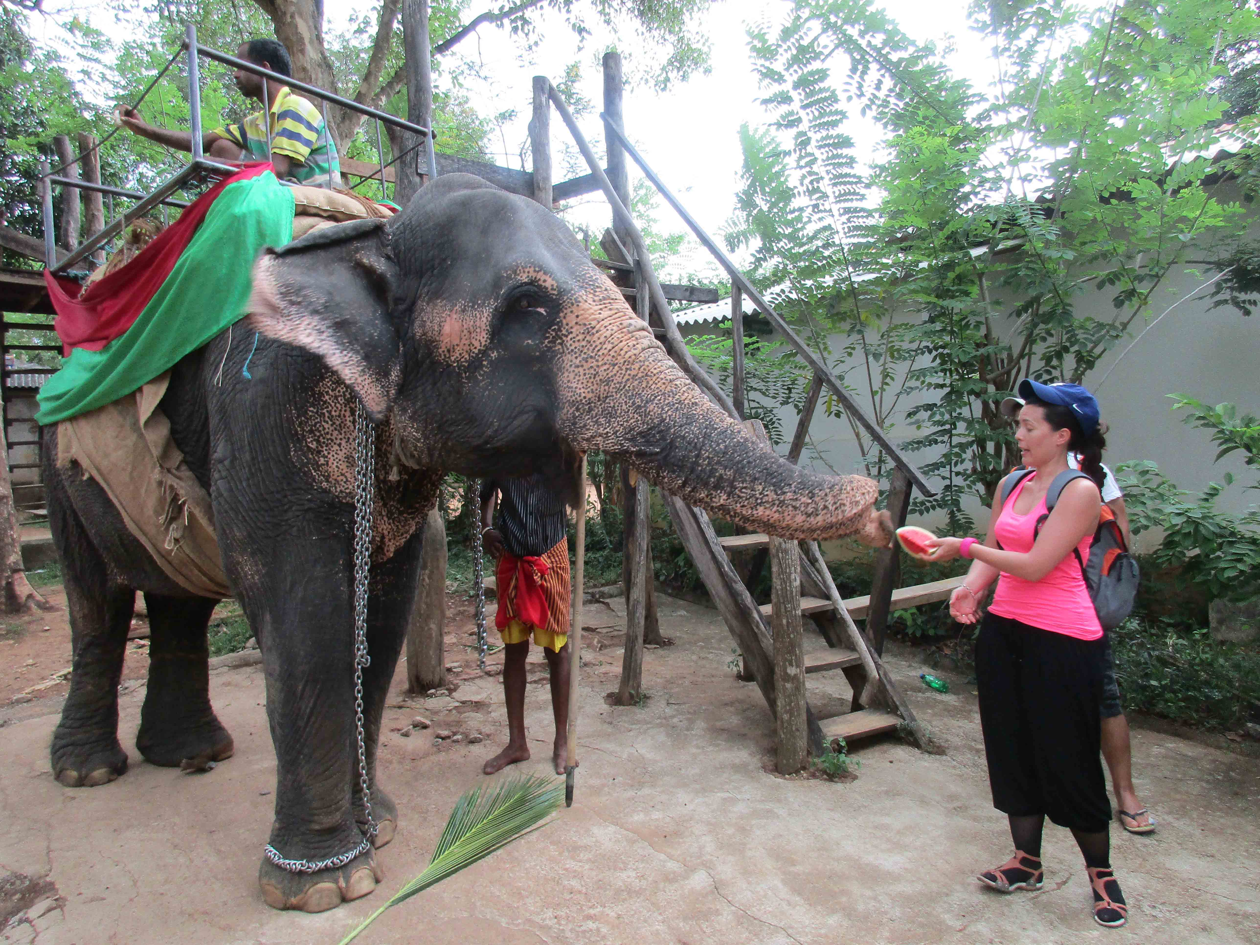 Sri Lanka tour highlight - Culture & Daily Life