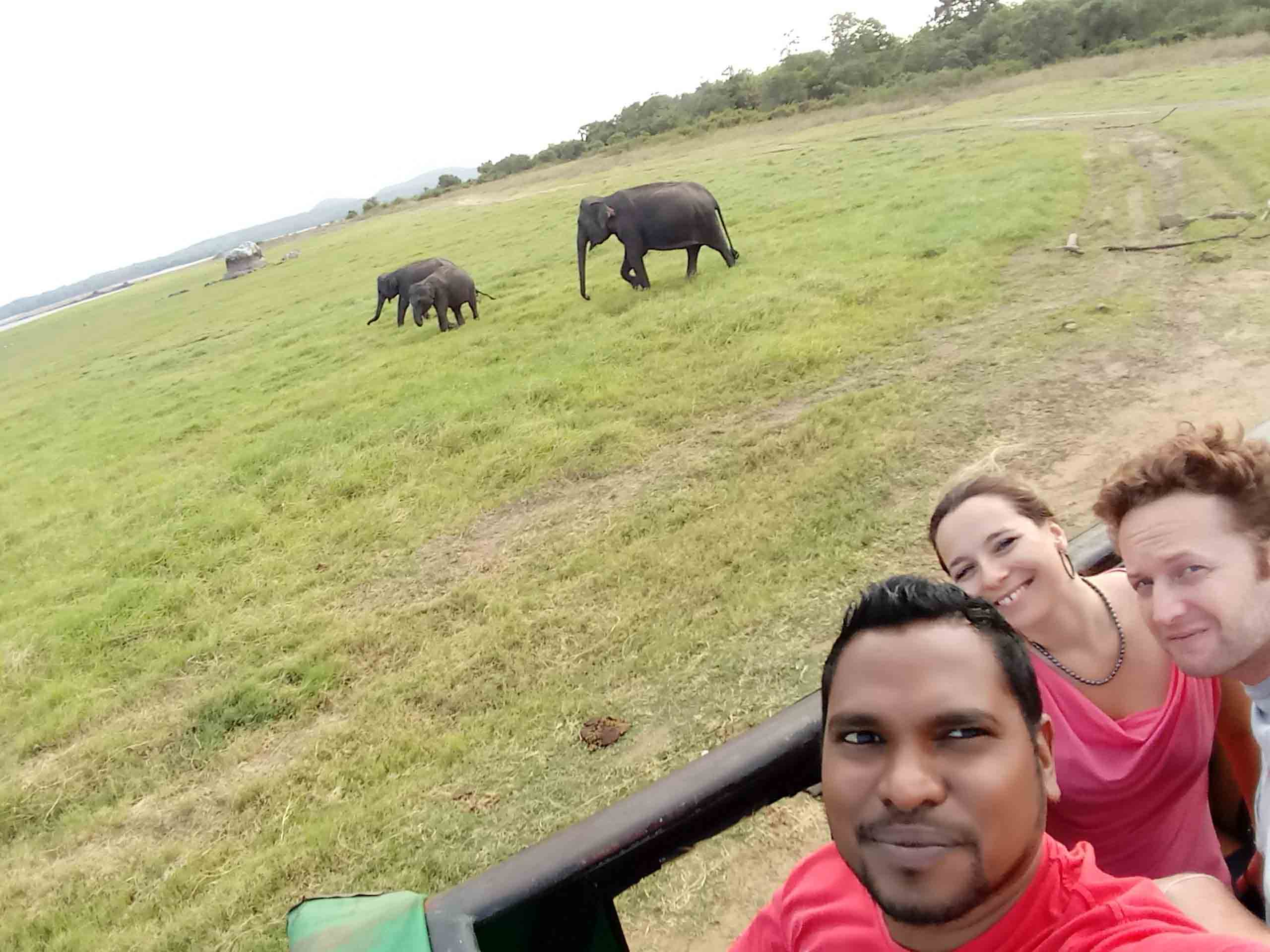 Sri Lanka tour highlight - Hill Country & Tea