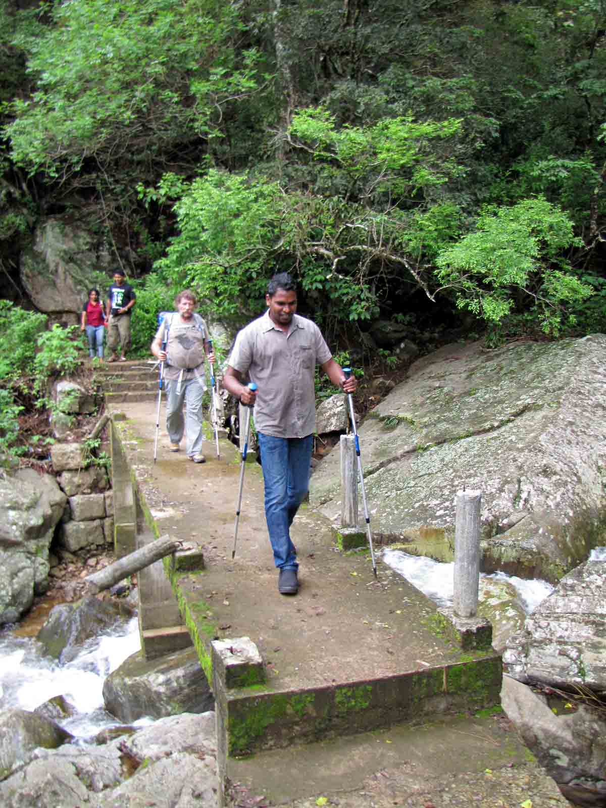 Sri Lanka tour highlight - Hill Country & Tea
