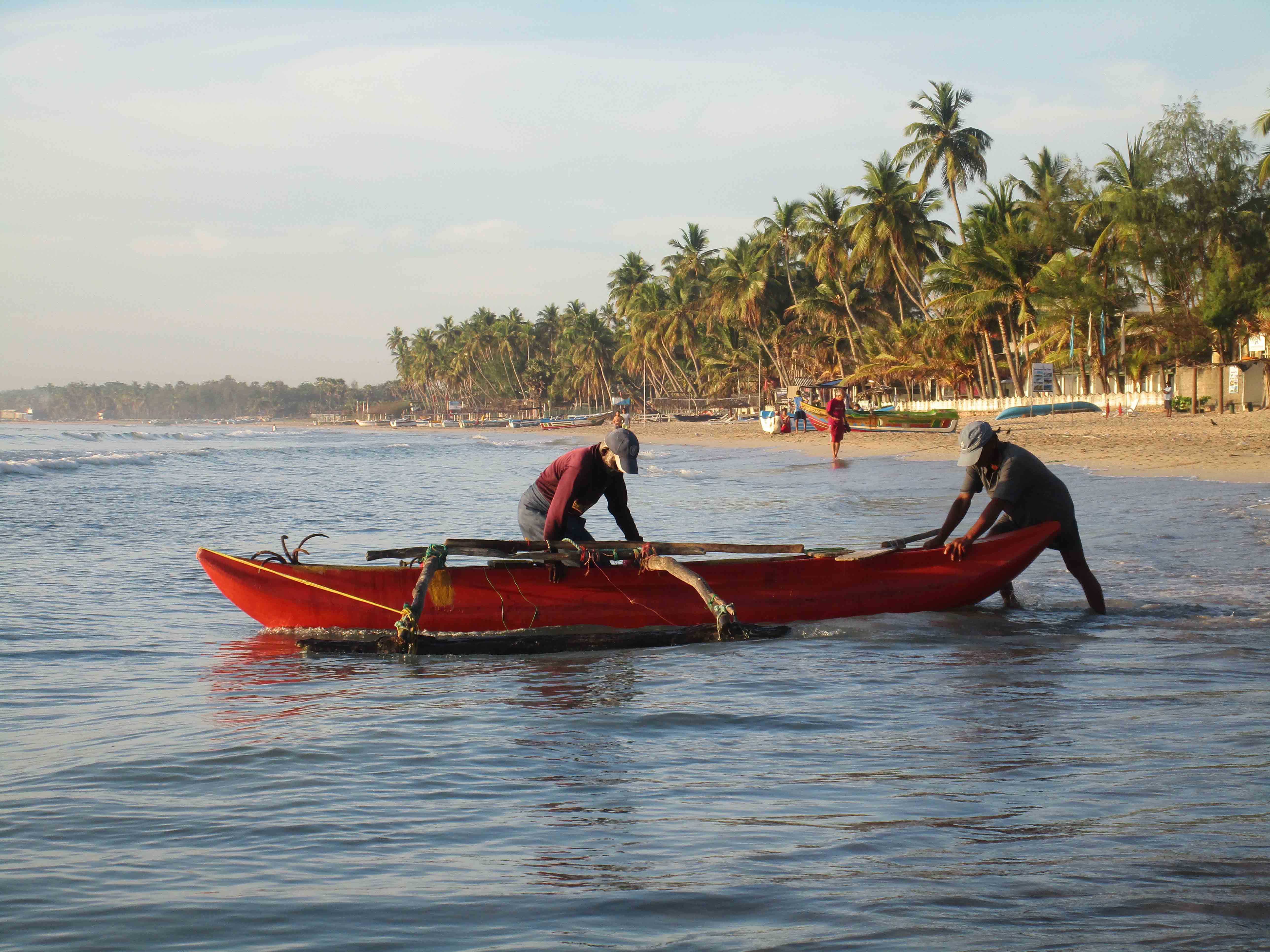 Sri Lanka tour highlight - Wildlife & Nature