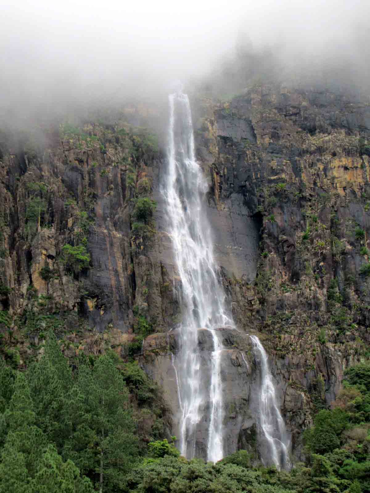 Sri Lanka tour highlight - Hill Country & Tea