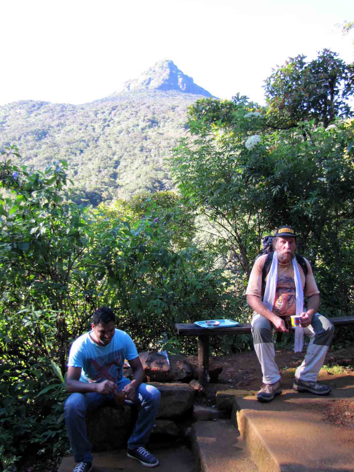 Sri Lanka tour highlight - Hill Country & Tea