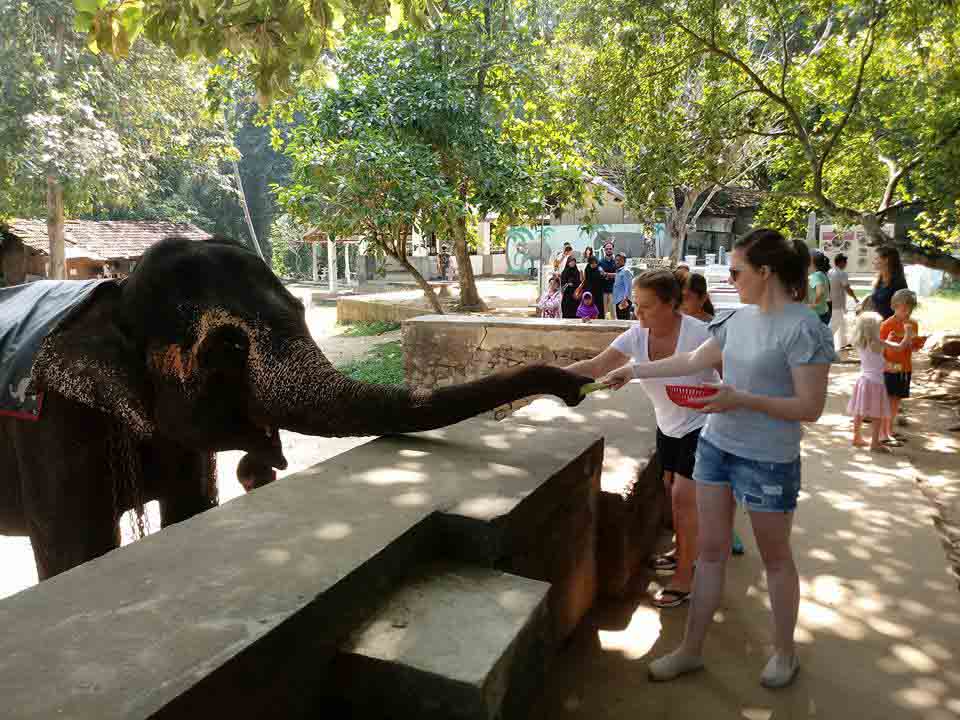 Sri Lanka tour highlight - Heritage & Temples