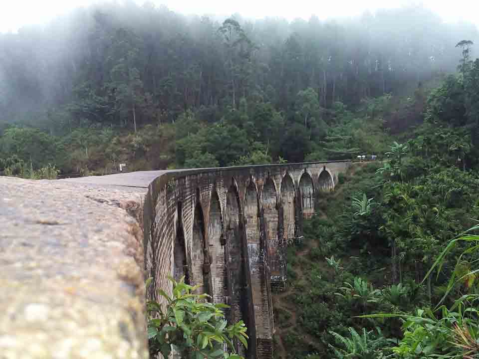 Sri Lanka tour highlight - Wildlife & Nature