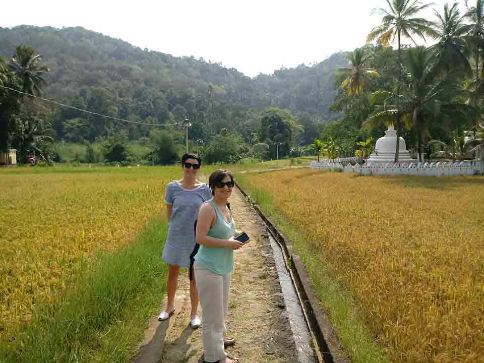 Sri Lanka tour highlight - Wildlife & Nature