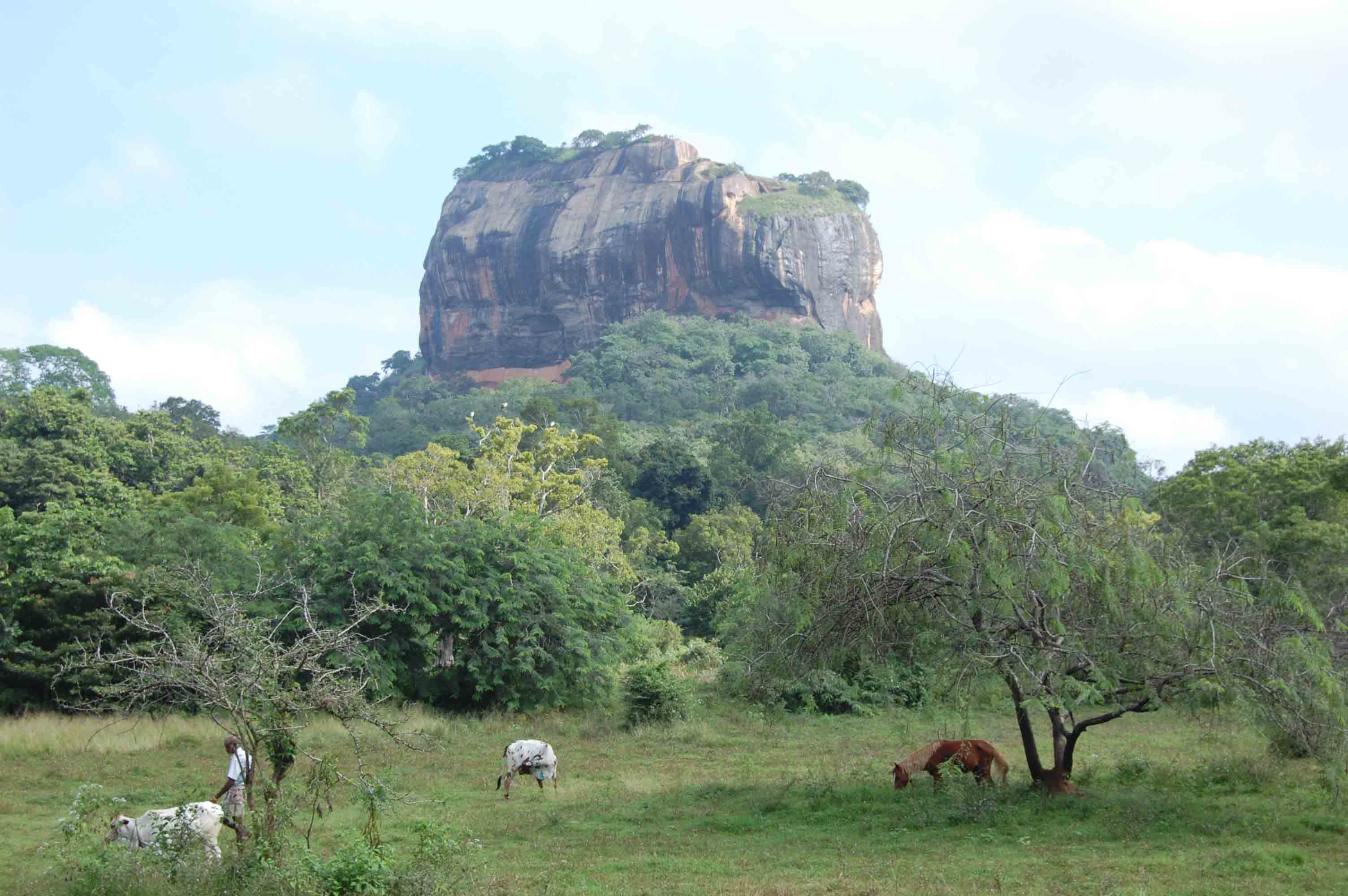 Sri Lanka tour highlight - Hill Country & Tea