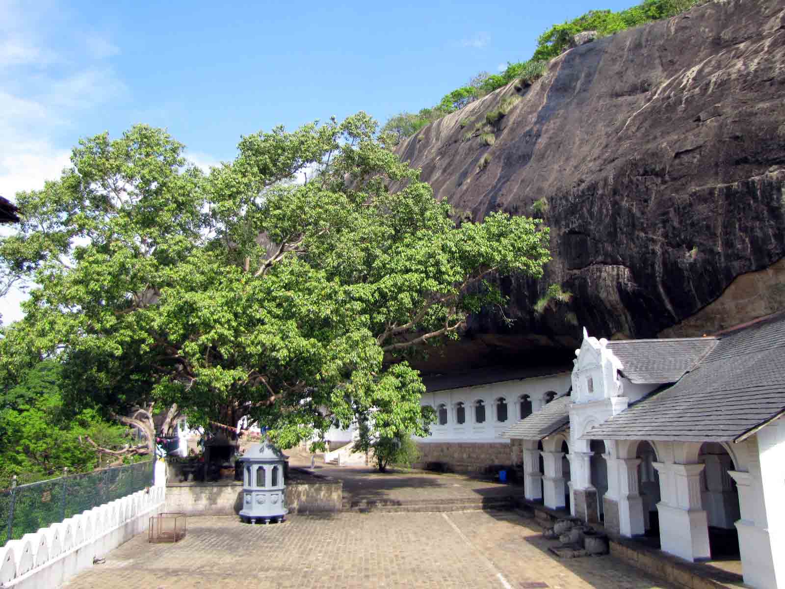 Sri Lanka tour highlight - Wildlife & Nature