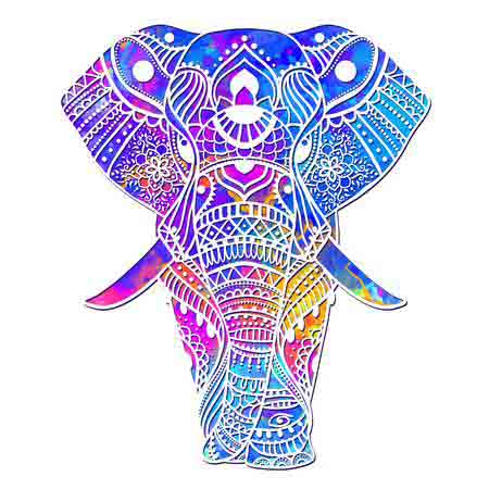 Sri Lanka tour highlight - Wildlife & Nature