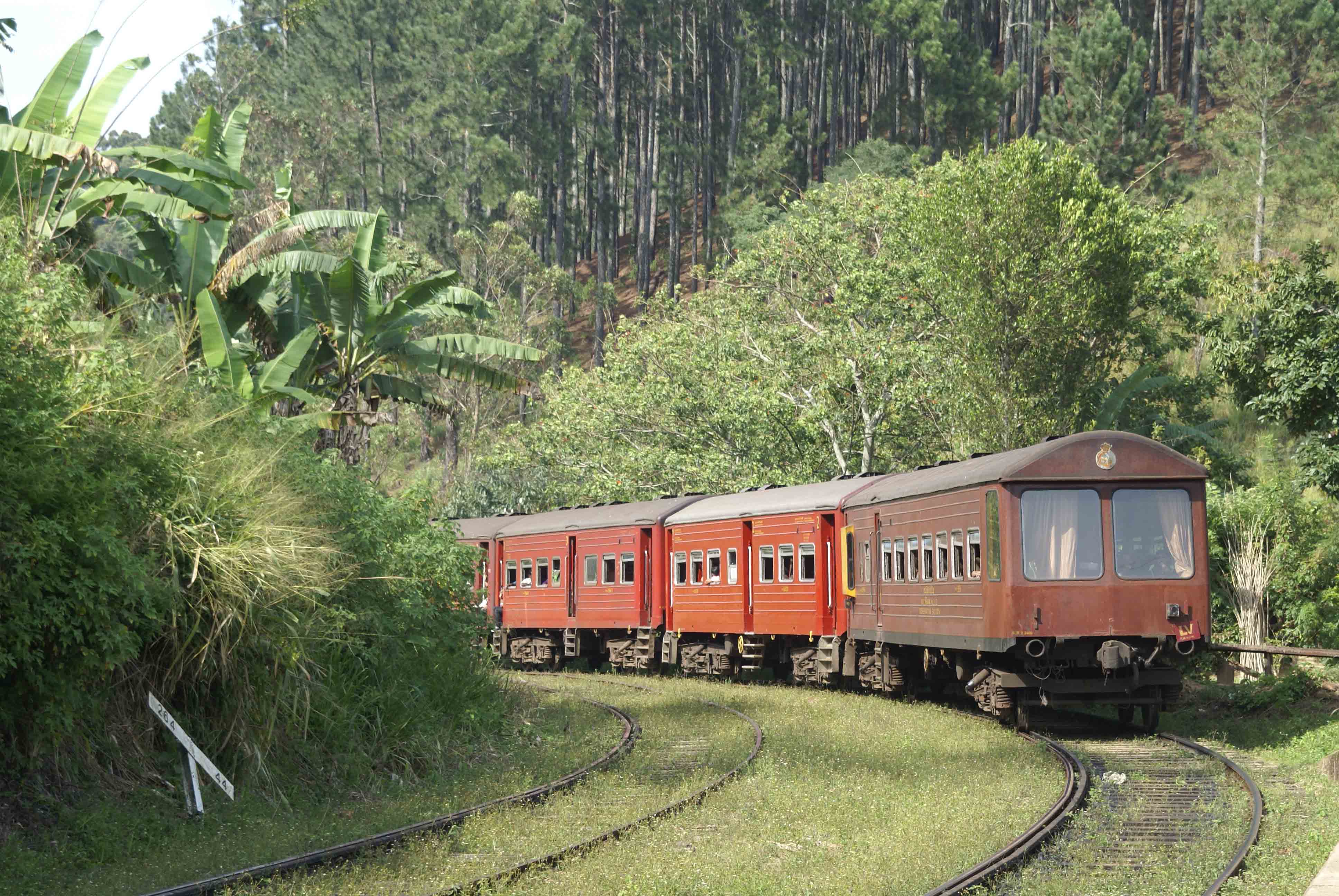 Sri Lanka tour highlight - Hill Country & Tea