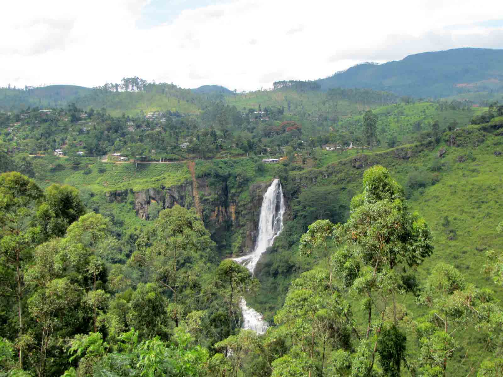 Sri Lanka tour highlight - Hill Country & Tea