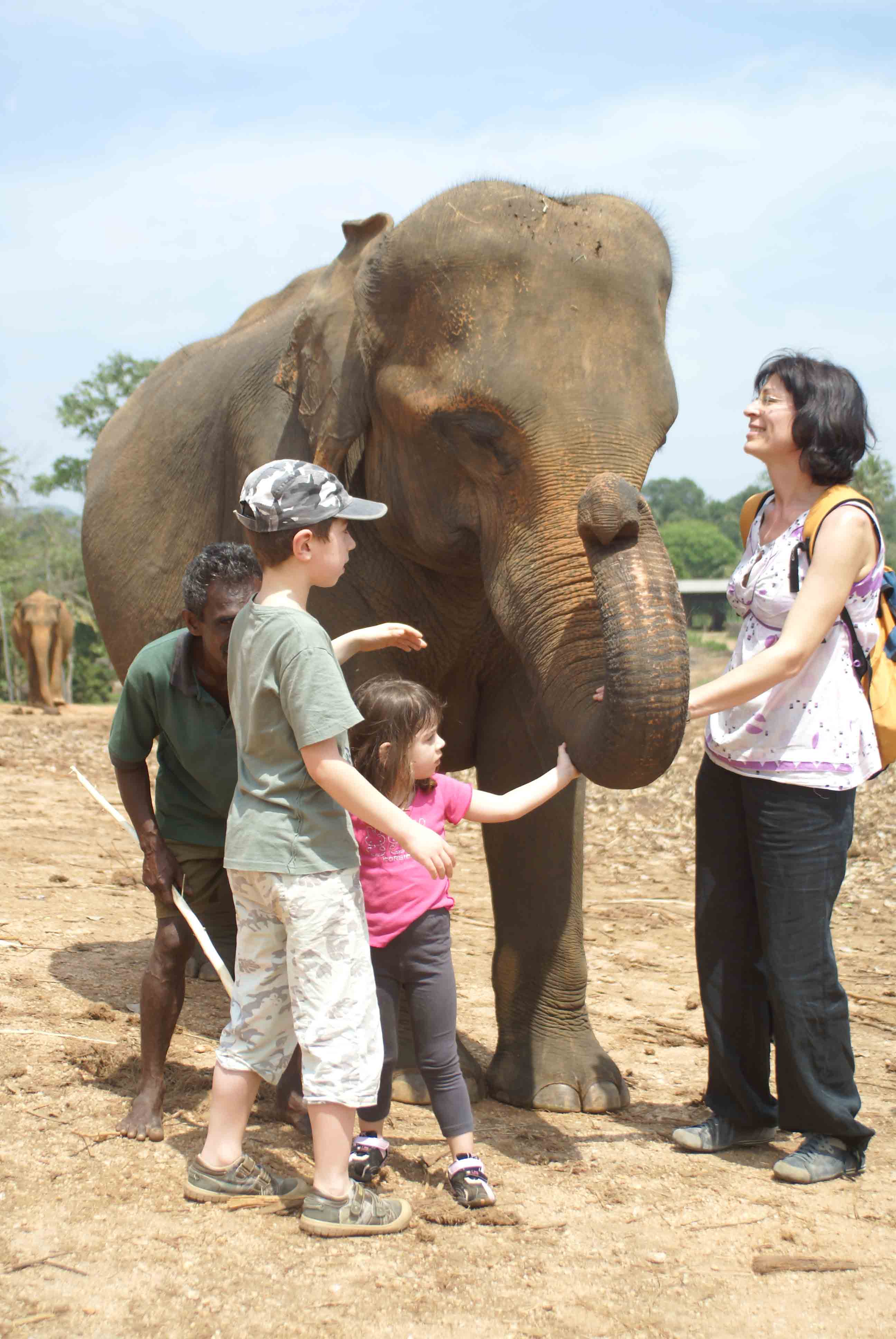 Sri Lanka tour highlight - Culture & Daily Life